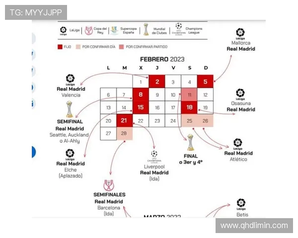 欧冠国王杯与西甲球队欧战表现对比分析