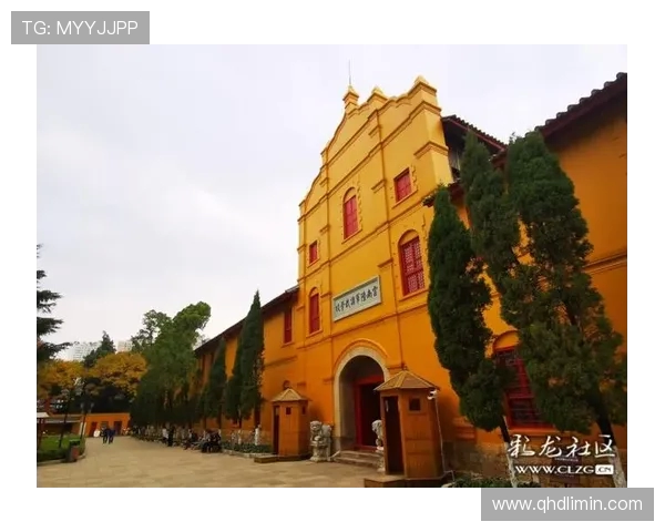 鲁尔工业区足球百年征程：从熔炉到绿茵场的信仰与荣耀