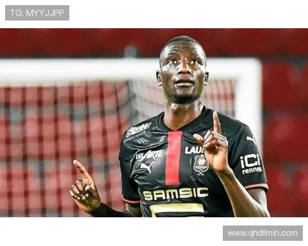 德甲球队非洲球员的影响力与表现 德甲球队非洲球员的影响力与表现