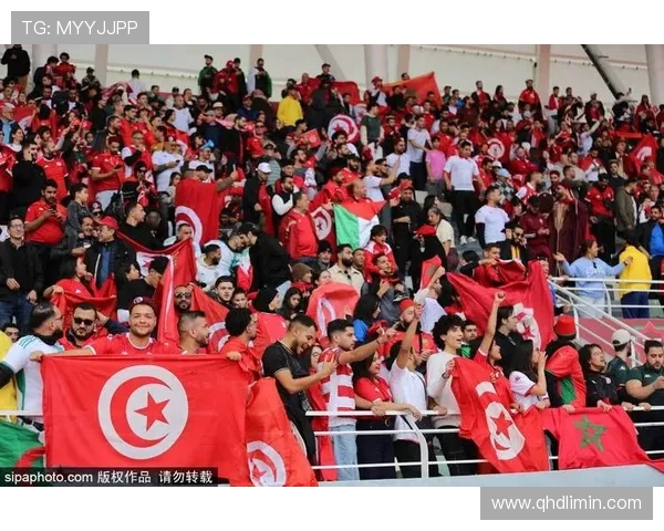 法甲球队球迷组织与文化:球迷会构成、看台文化与地域特色 法甲球队球迷组织与文化:球迷会构成、看台文化与地域特色